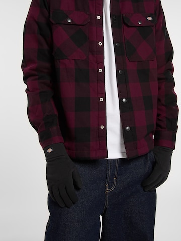 juoda DICKIES Pirštuotos pirštinės 'Oakport'