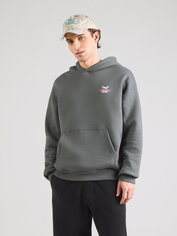 Sweat-shirt Iriedaily en gris