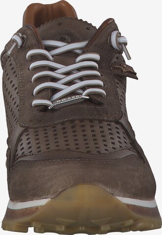 Cetti Sneakers 'C848 S M' in Brown
