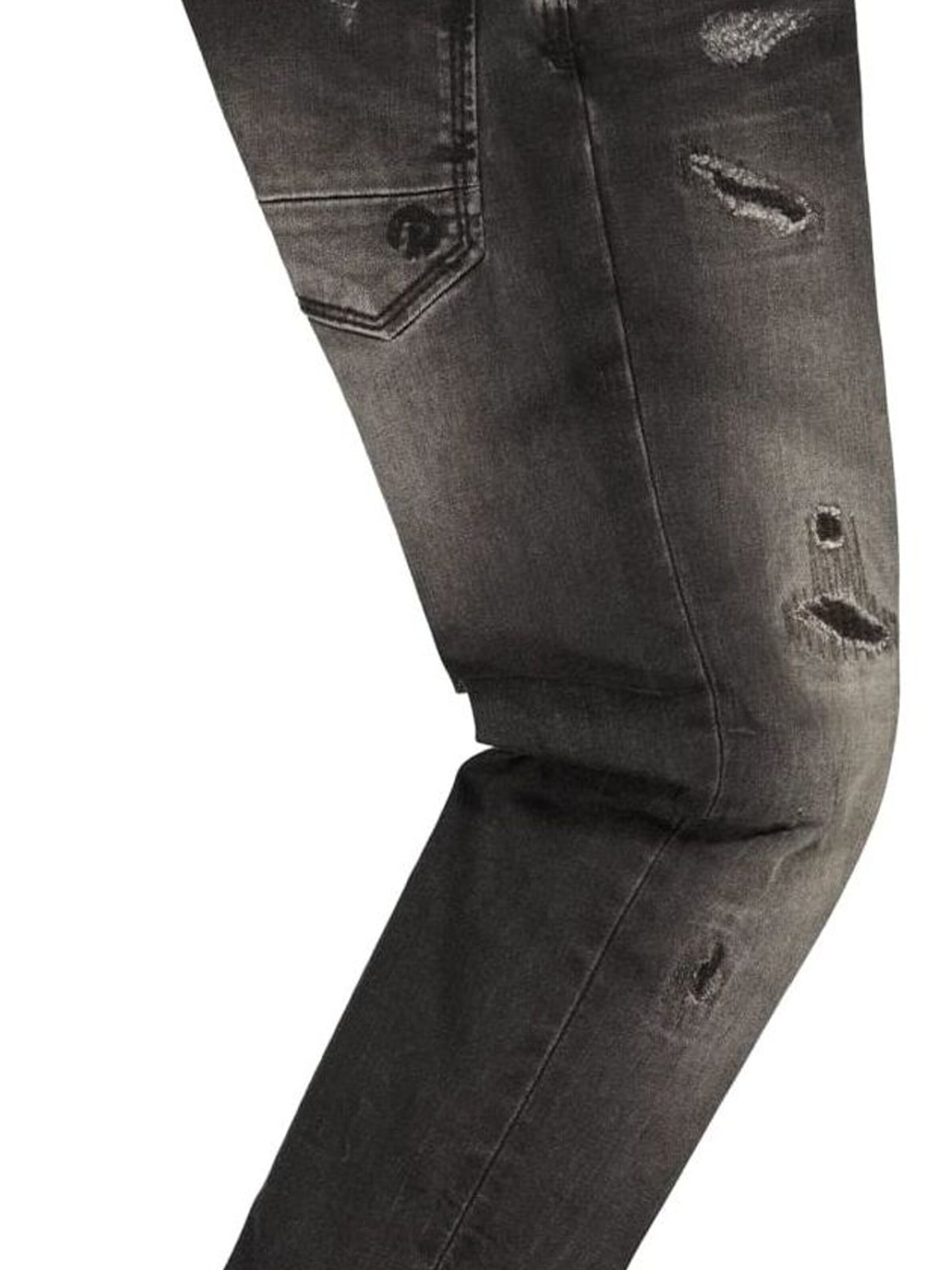 Raizzed Jeans in Grijs