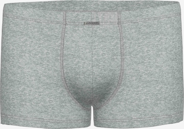 Ammann Boxer shorts 'Day Modern / Close to you' in Grey: front