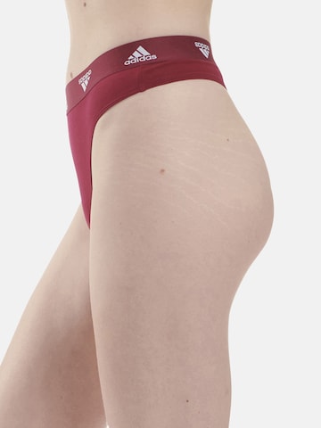 ADIDAS SPORTSWEAR Athletic Underwear in Red