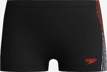 SPEEDO Badehose in Schwarz: Vorderseite