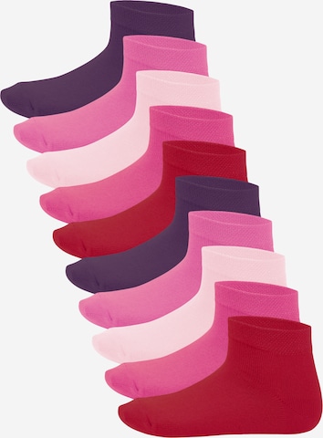 footstar Socks 'EVERYDAY!' in Purple: front
