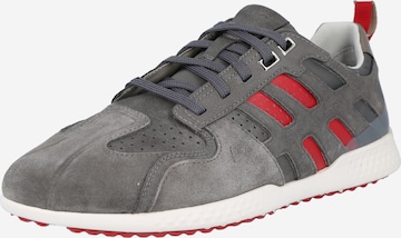 GEOX Platform trainers 'Snake' in Grey: front