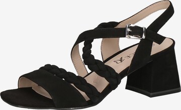 CAPRICE Sandals in Black: front