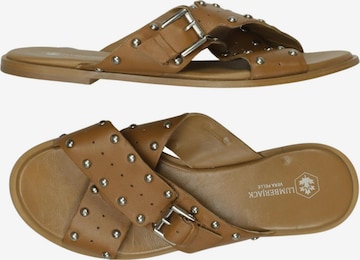 Lumberjack Sandalen 40 in Braun: Vorderseite