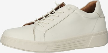 Baskets basses HUSH PUPPIES en blanc : devant