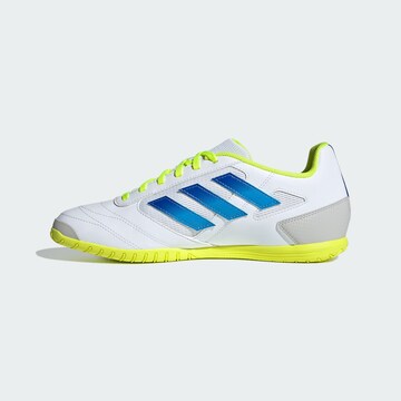 ADIDAS PERFORMANCE Футболни обувки 'Super Sala II' в бяло
