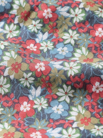 Seasalt Cornwall Regular Fit Skjorte 'Blue Heron' i blandingsfarvet