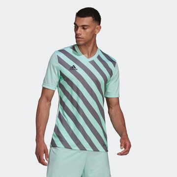 ADIDAS PERFORMANCE Shirt 'Entrada' in Grün: Vorderseite