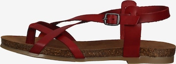 COSMOS COMFORT Sandalen met riem in Rood