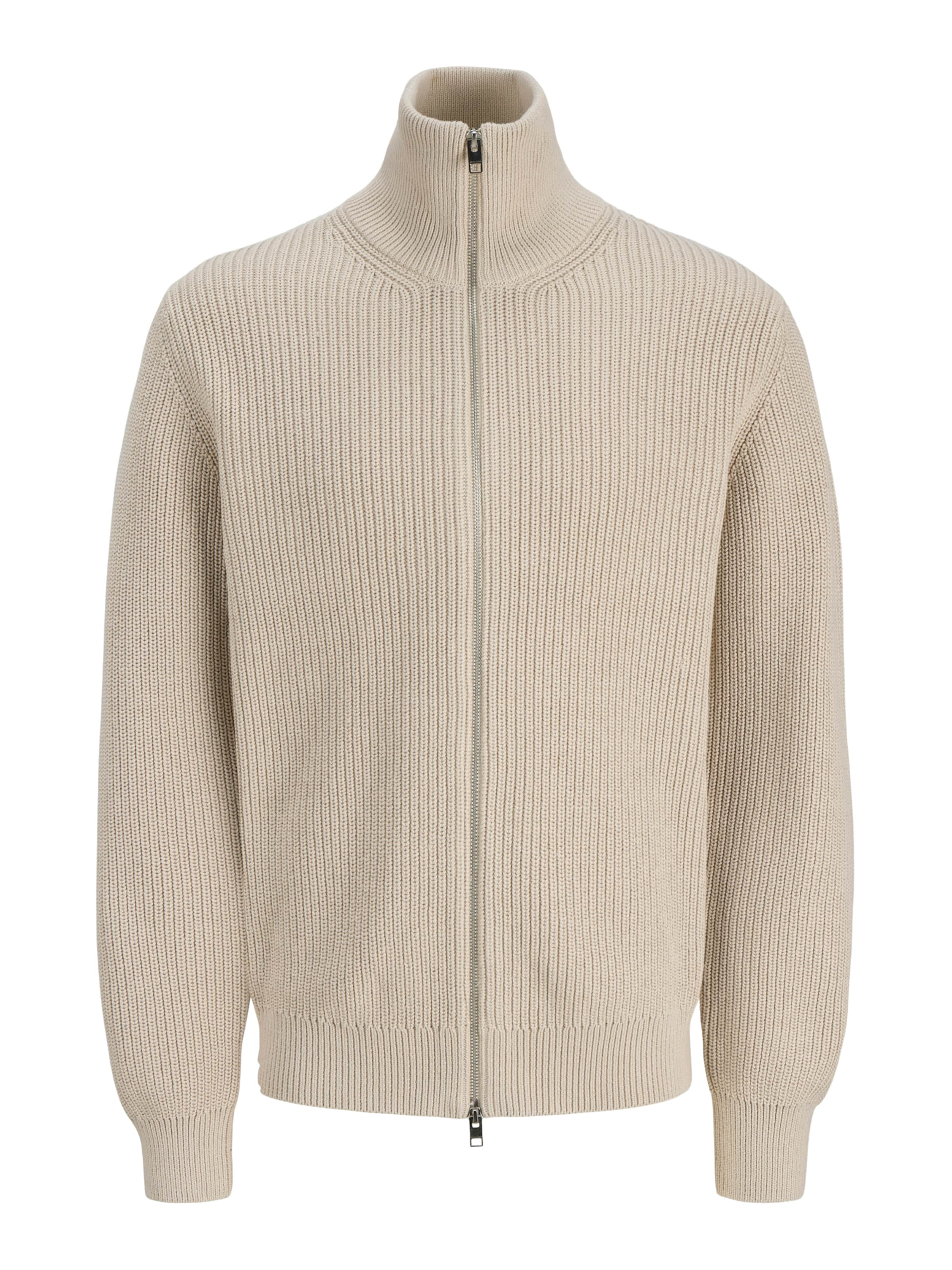 Giacchetta 'JPRBLASTANDFORT' di Jack & Jones Premium in beige: frontale