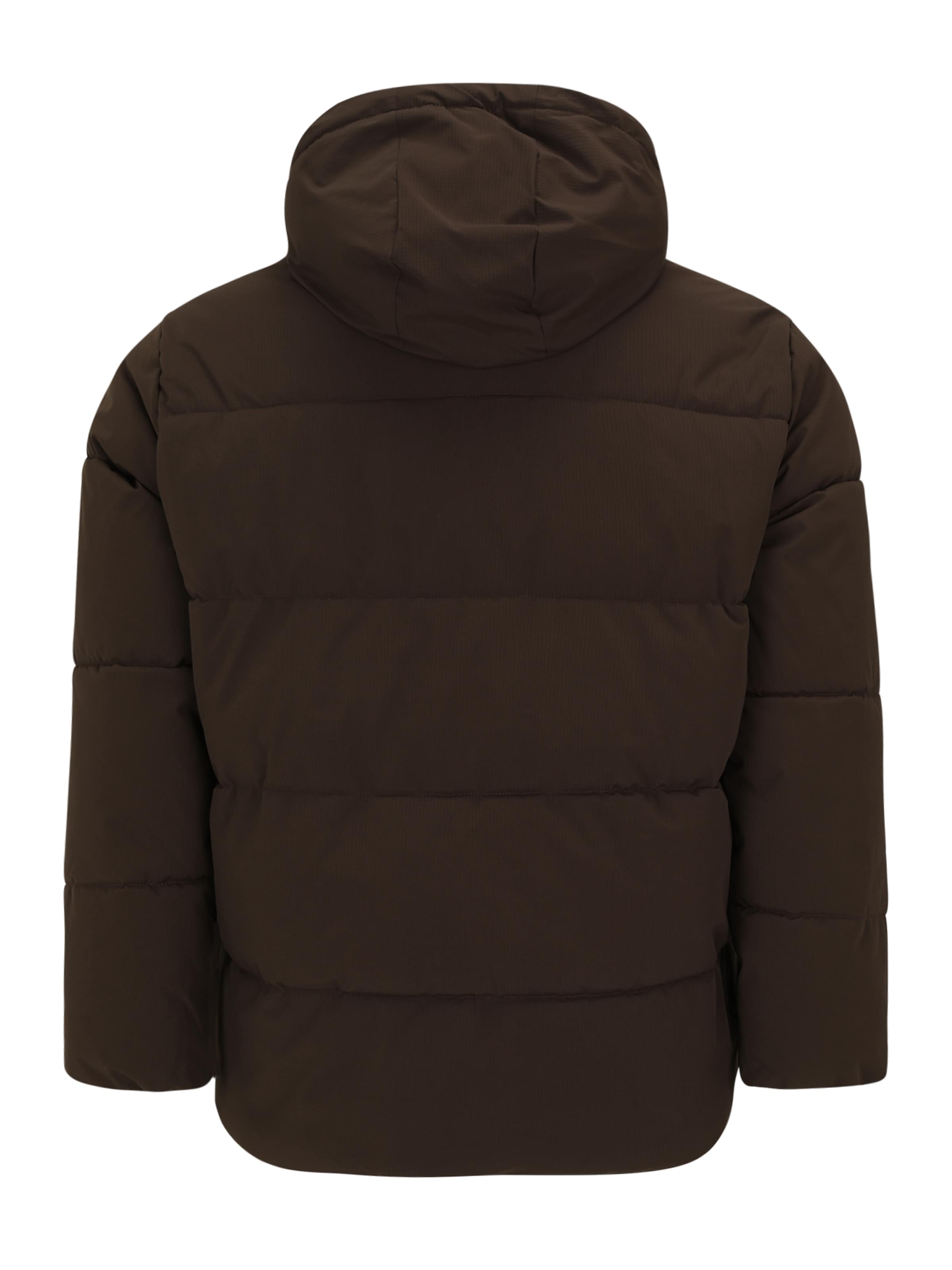 Jack & Jones Plus Χειμερινό μπουφάν 'JJGLOBAL' σε καφέ