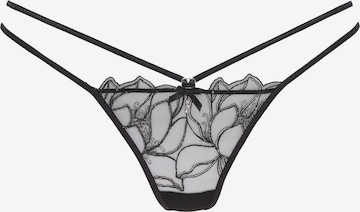 LASCANA String in Black: front
