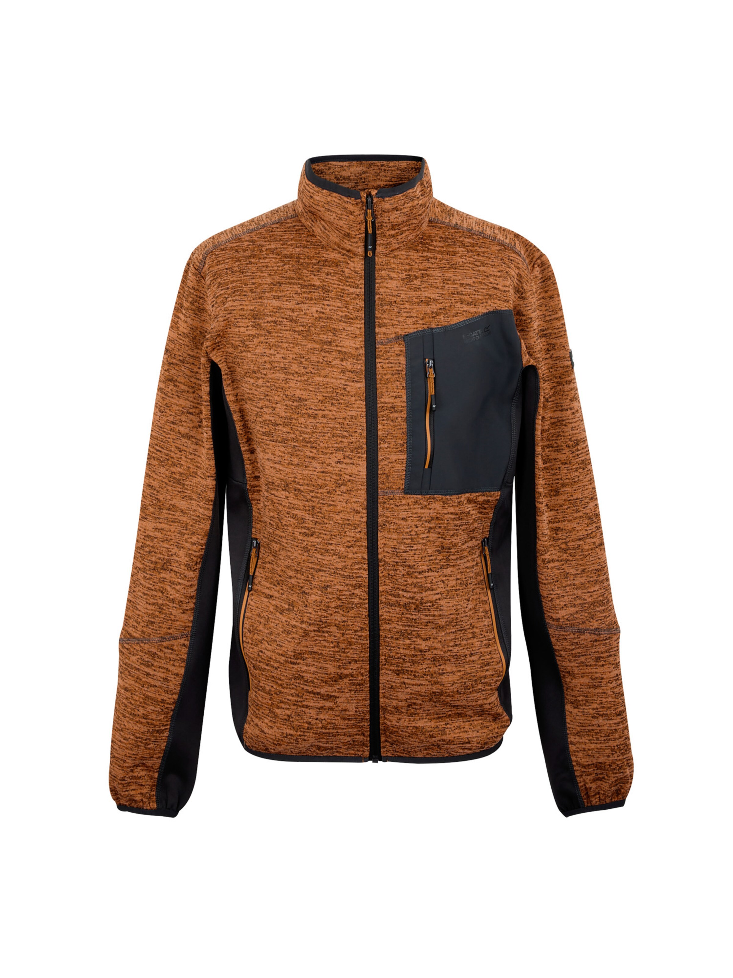 REGATTA Fleece jacket 'Baslinn' in Orange: front