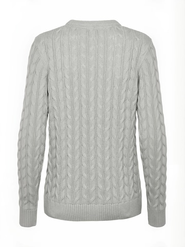 Pull-over ' UWMadeline ' U.S. POLO ASSN. en gris : derrière