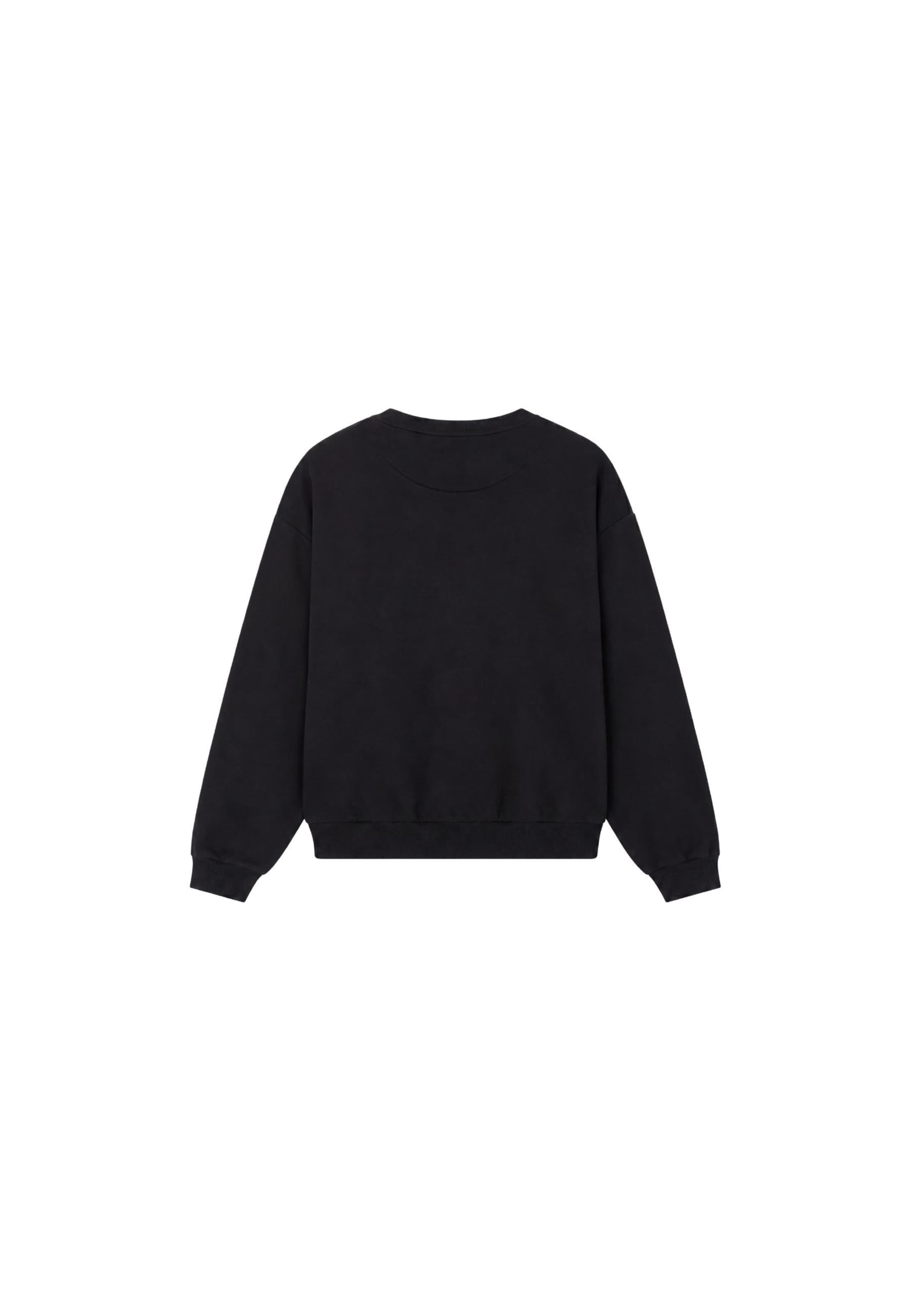 Colucci Sweatshirt in Zwart