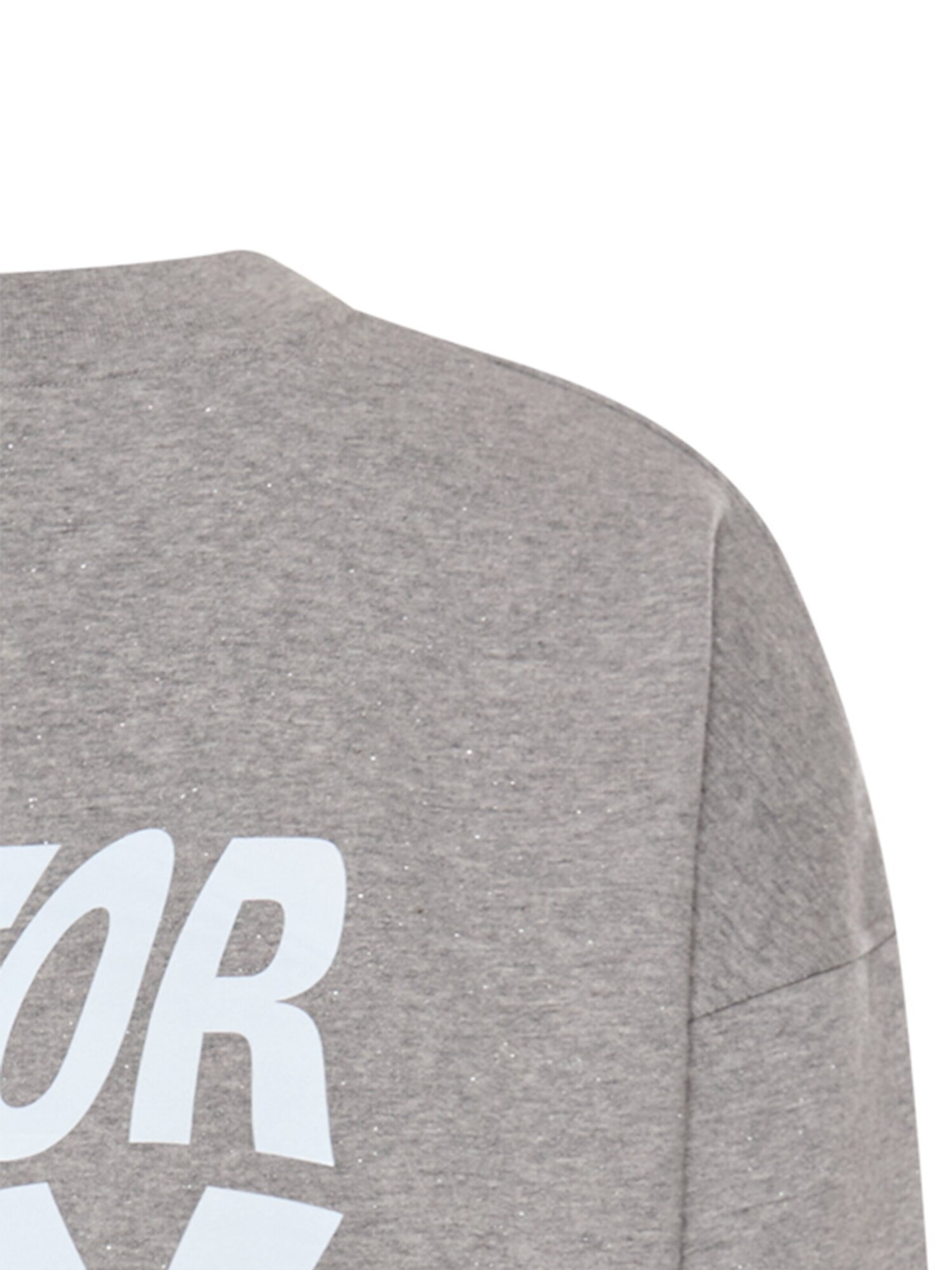 CAMEL ACTIVE Sweatshirt in Grey