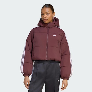 ADIDAS ORIGINALS Winterjas 'Adicolor' in Rood: voorkant