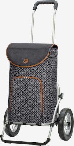 Cabas 'Royal Famke ' Andersen Shopper en gris : devant