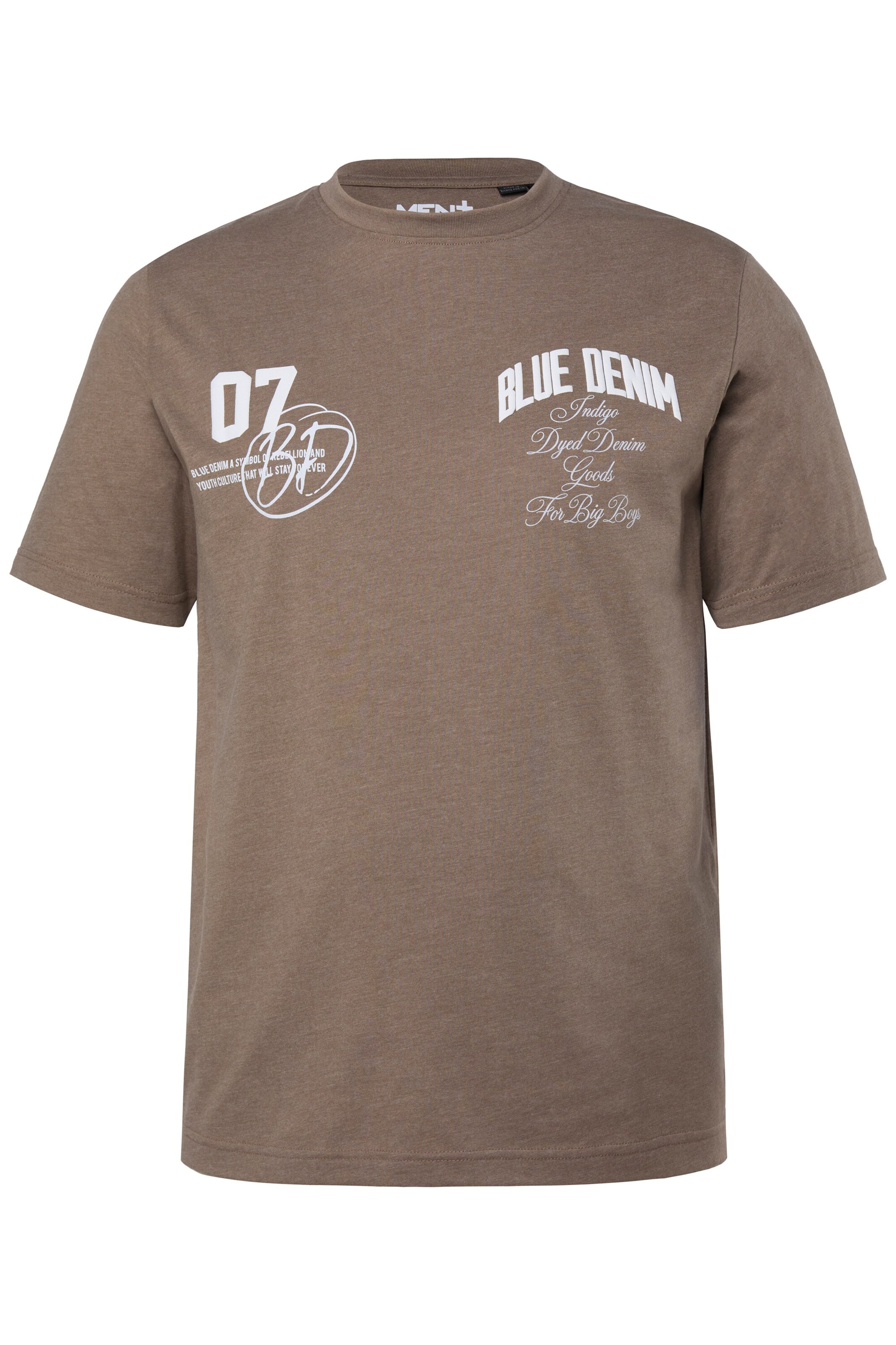 Men Plus Shirt in Brown: front