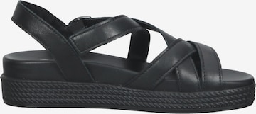 Bama Strap Sandals in Black