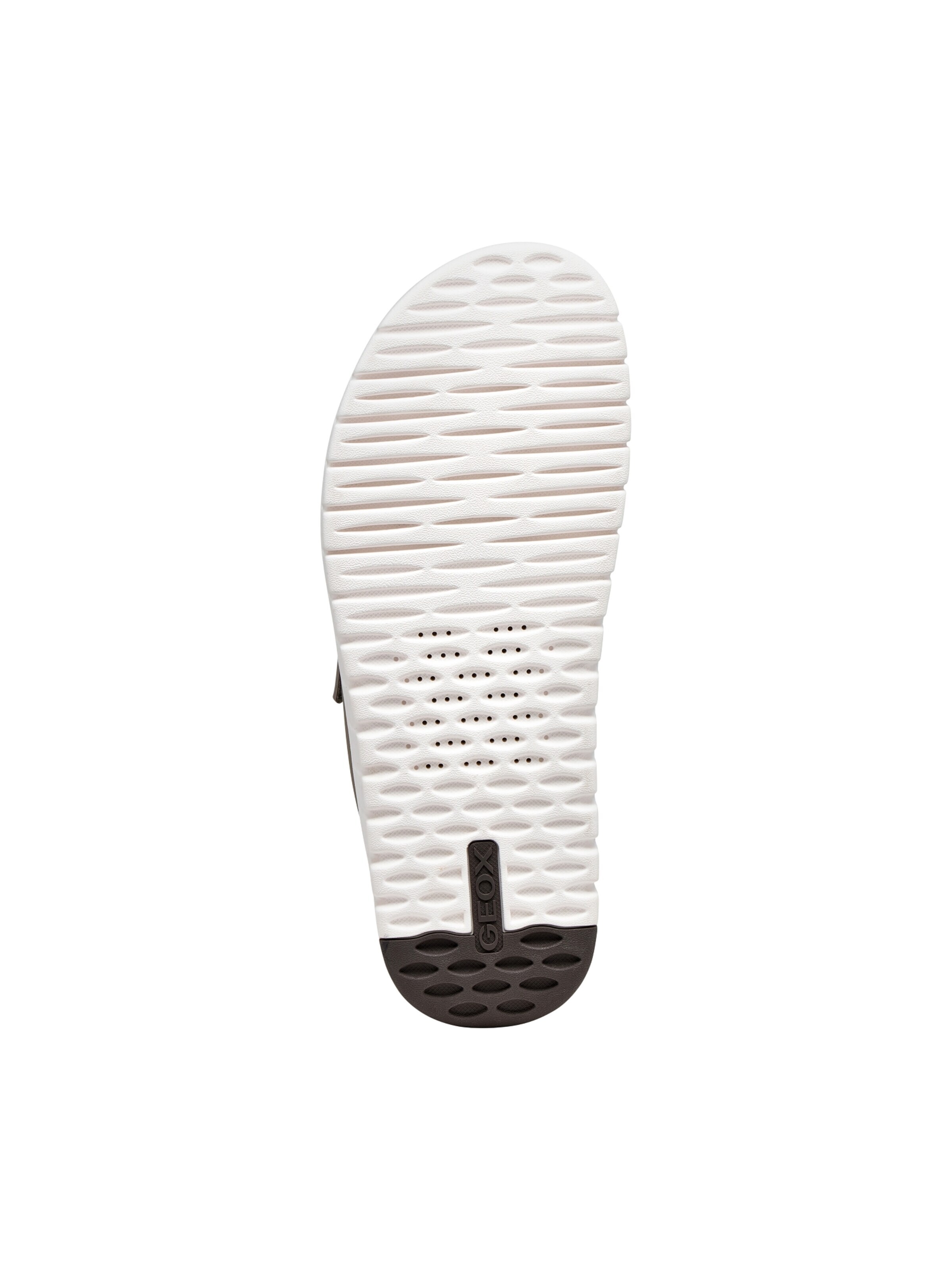 GEOX Mule in Grey