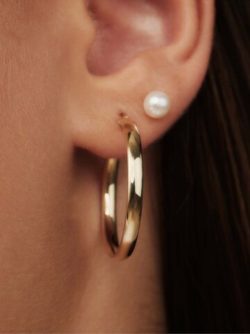 Isabel Bernard Earrings in Gold