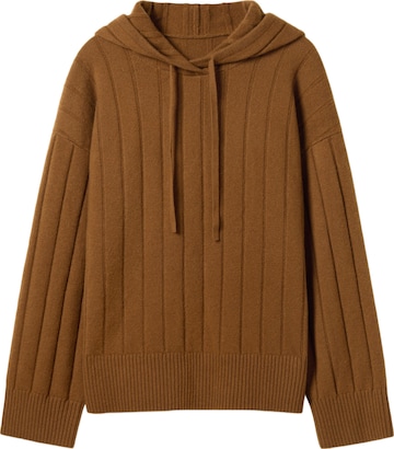 Lilysilk Pullover 'Rippstrick-Pullover mit Kapuze' in Braun: Vorderseite