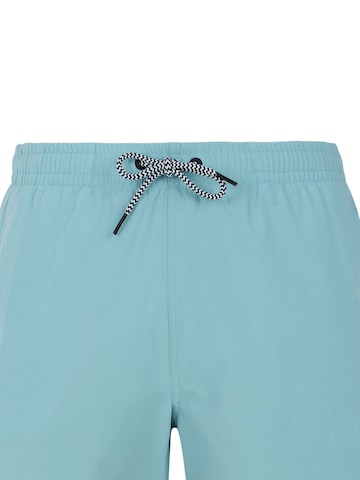 PROTEST Badeshorts 'PRTYESSINE' in Grün