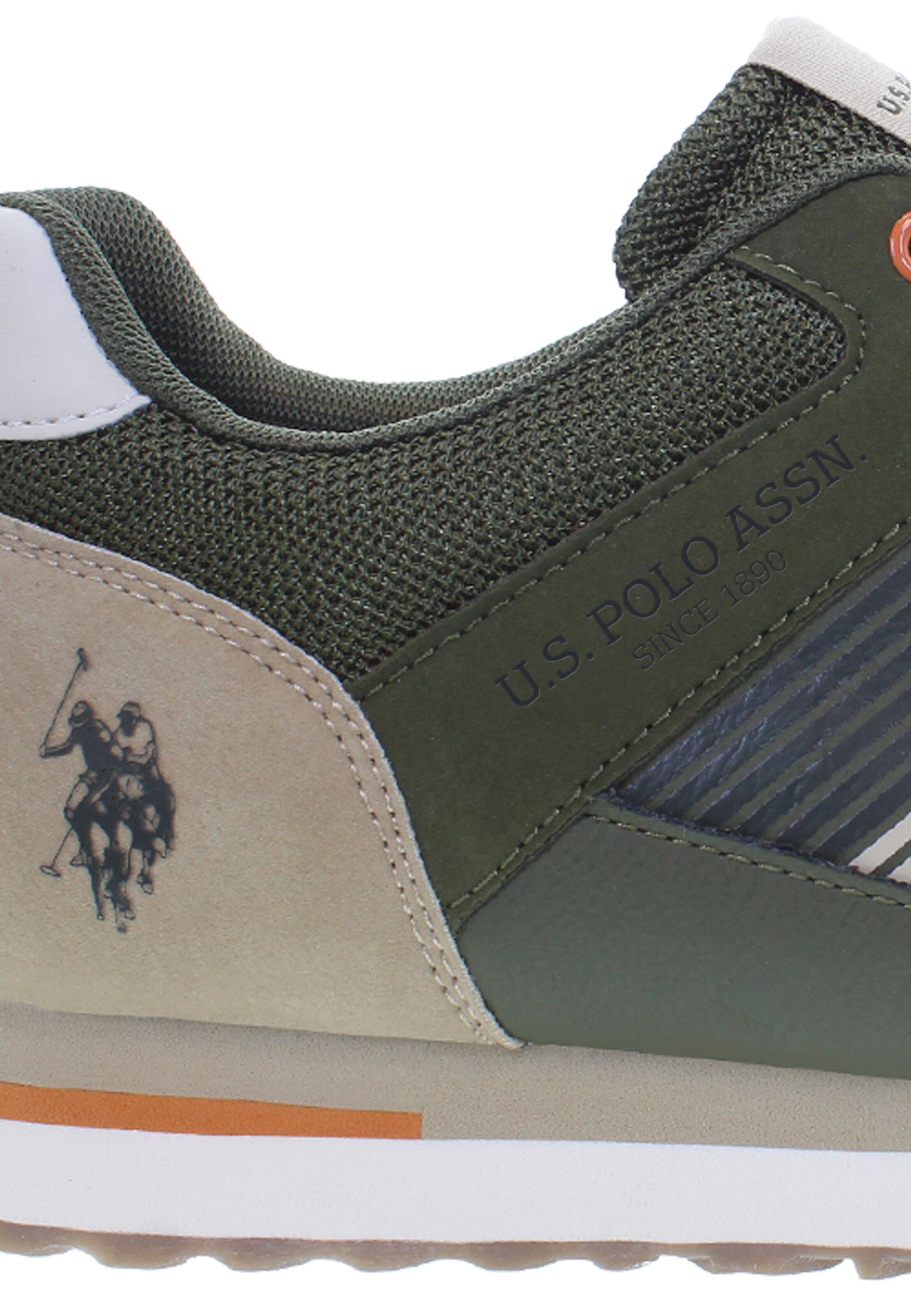 Sneaker bassa di U.S. POLO ASSN. in verde