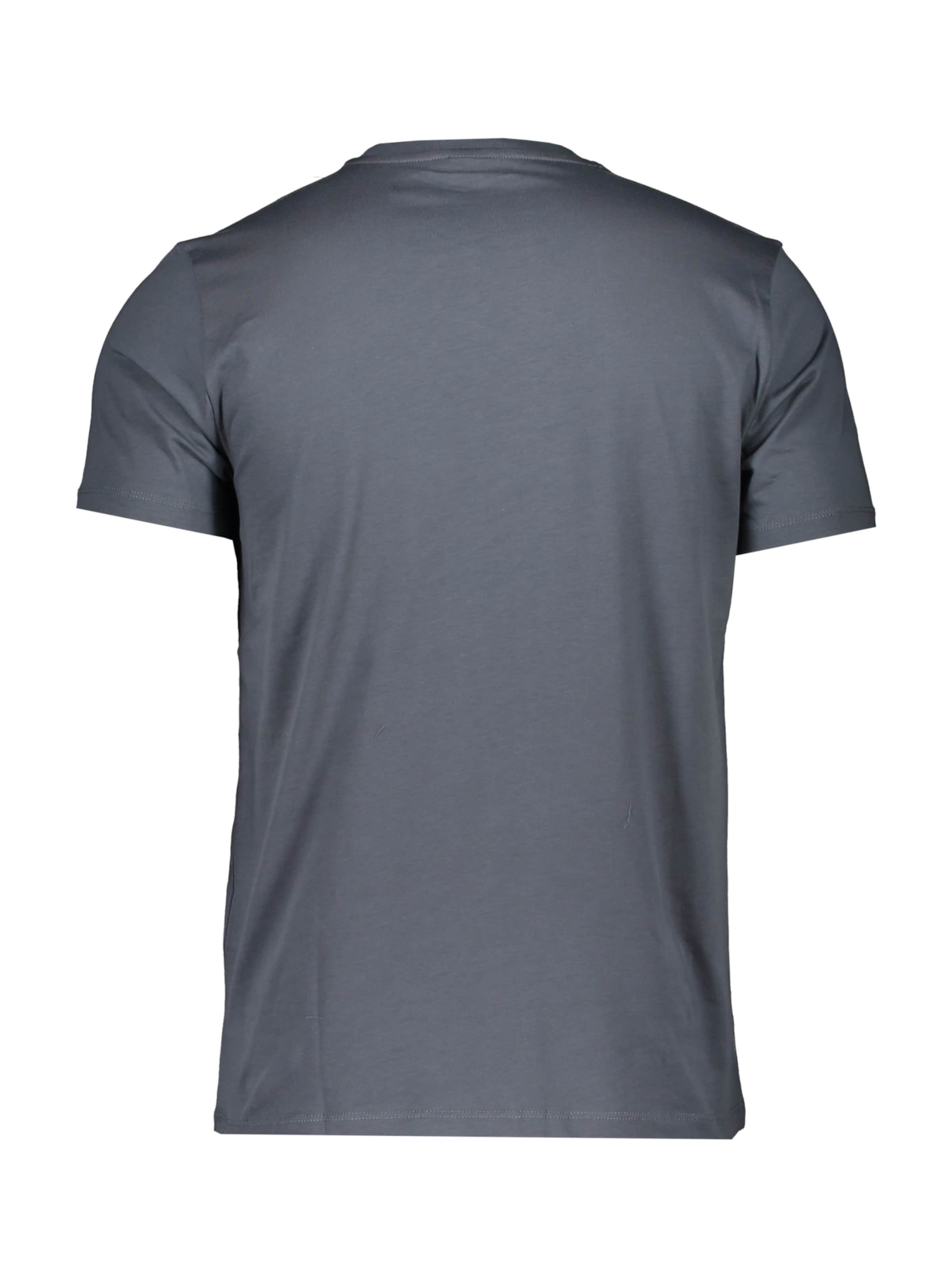 ERIMA Funktionsshirt in Grau