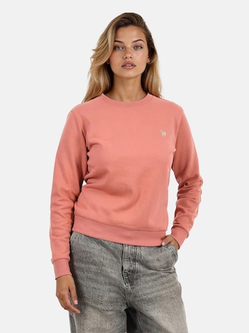 U.S. POLO ASSN. Sweatshirt in Pink: Vorderseite