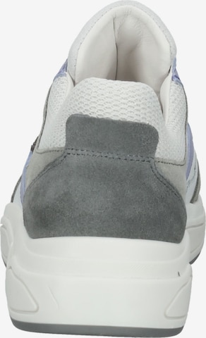 Baskets basses BULLBOXER en gris