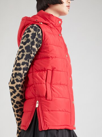 Gilet di 19V69 ITALIA in rosso