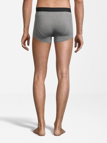 AÉROPOSTALE Boxershorts in Grau