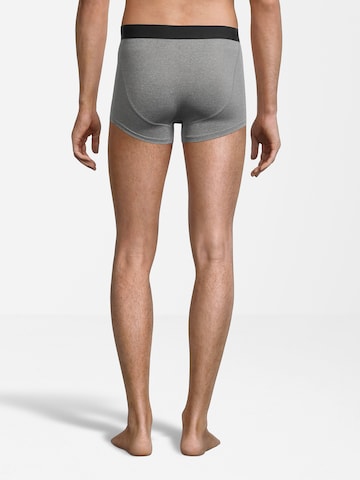 AÉROPOSTALE Boxershorts in Grijs