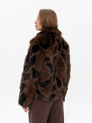 Passioni Winter Jacket in Brown