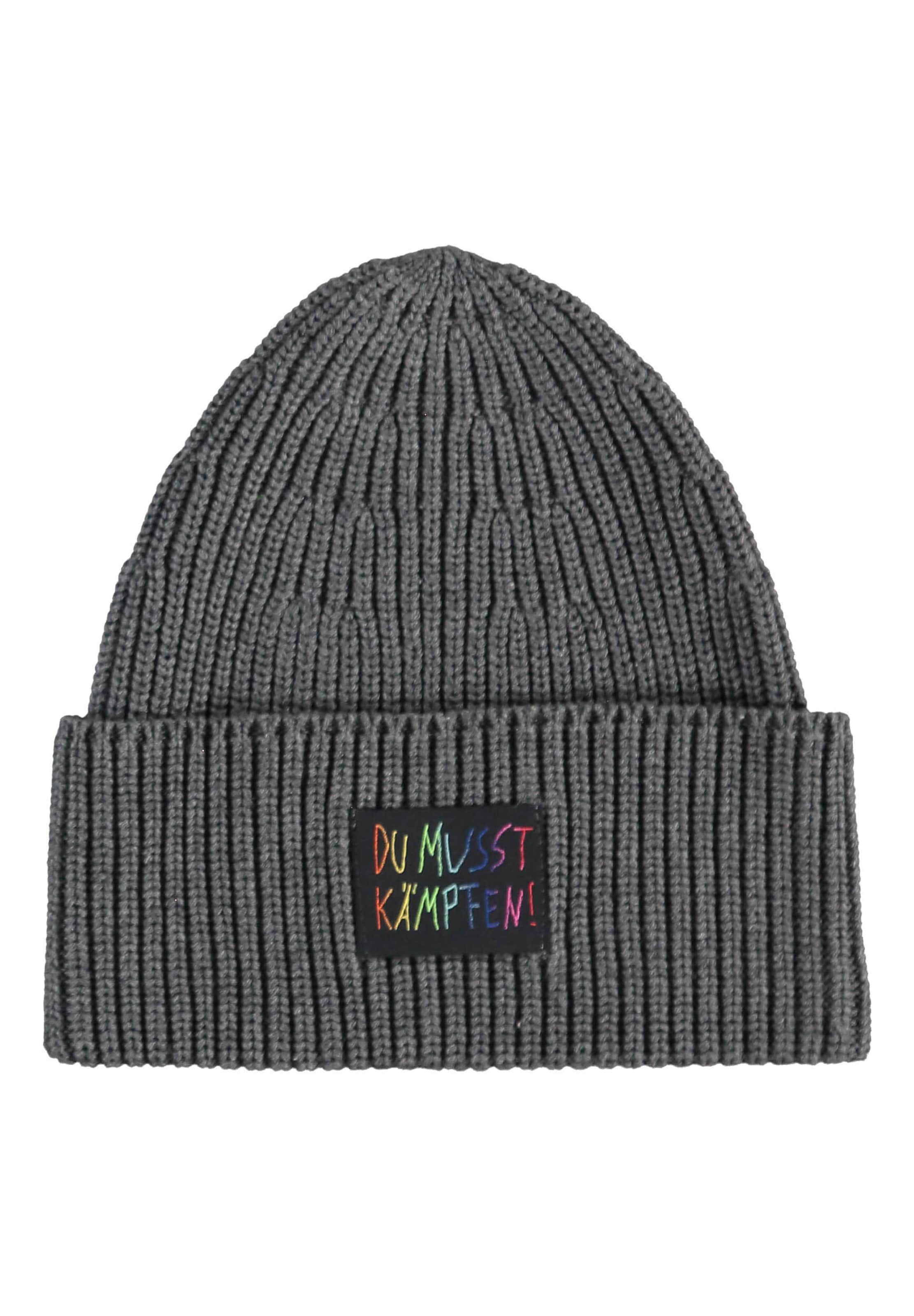 FRAAS Beanie in Grey: front