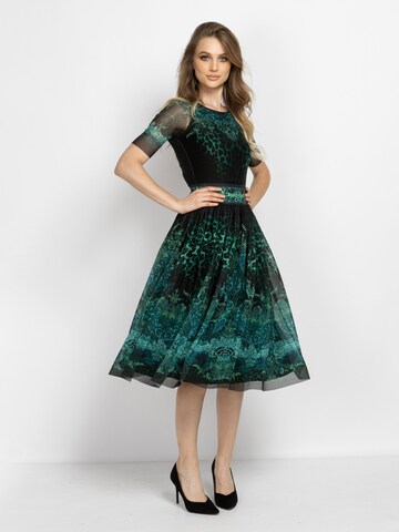 JIORO Blouse body in Groen
