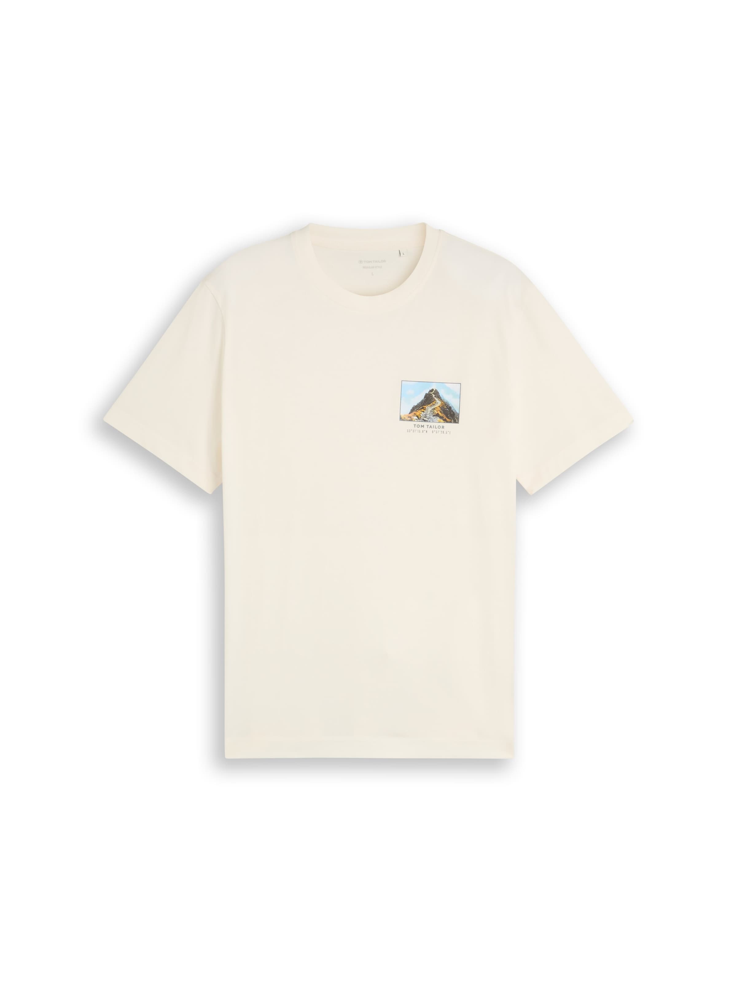 TOM TAILOR Shirt in White: front