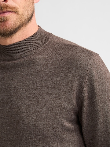 Pull-over Petrol Industries en marron