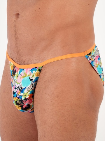 Slip HOM en mélange de couleurs