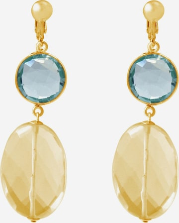 Gemshine Earrings in Gold: front