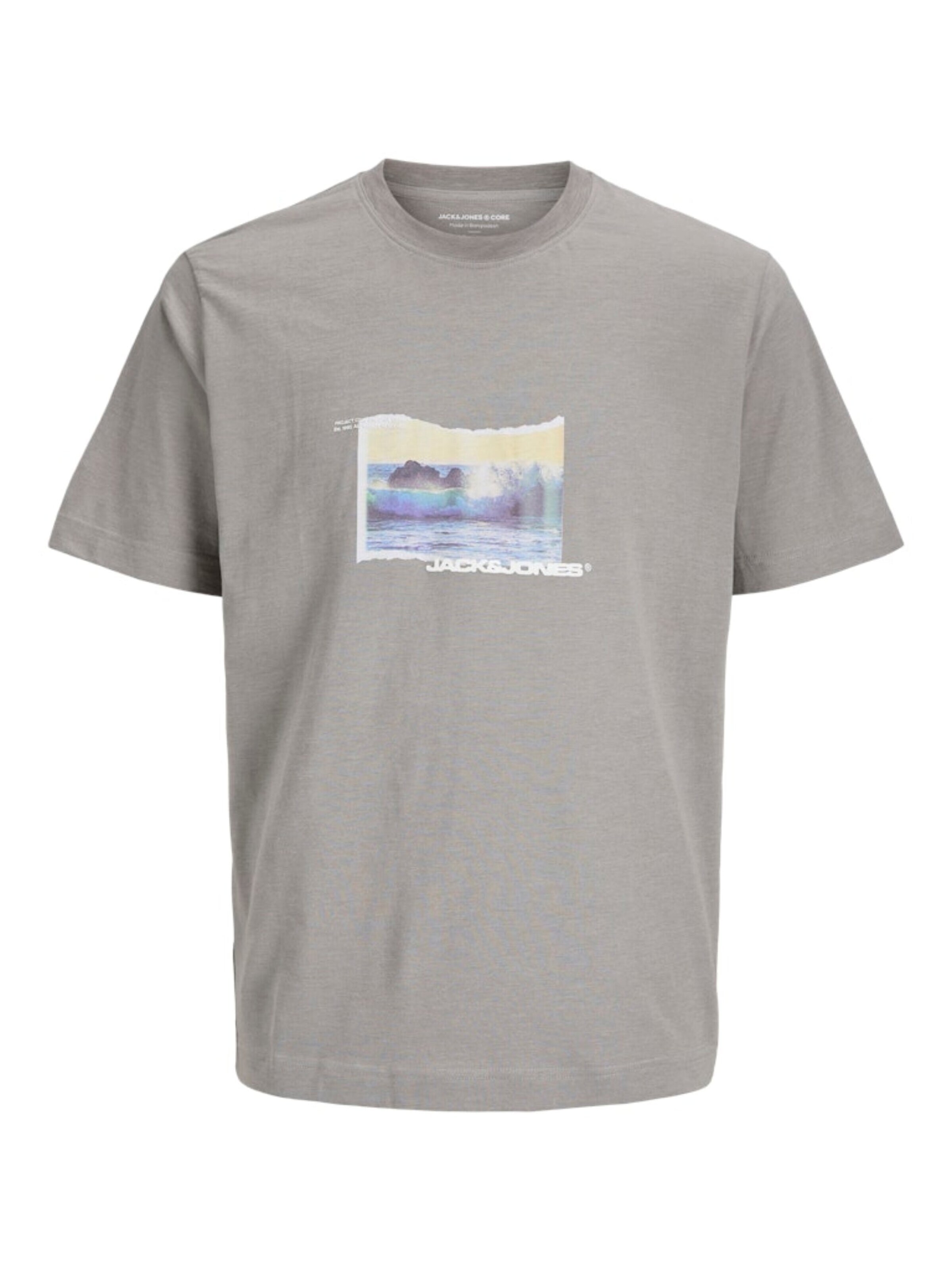JACK & JONES Shirt 'JCOSAGO PHOTO SLUB TEE' in Grijs: voorkant