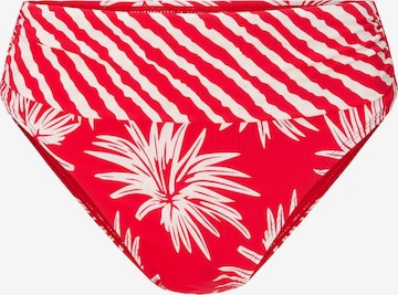 Bas de bikini LingaDore en rouge : devant