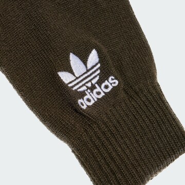 ADIDAS ORIGINALS Vingerhandschoenen in Groen