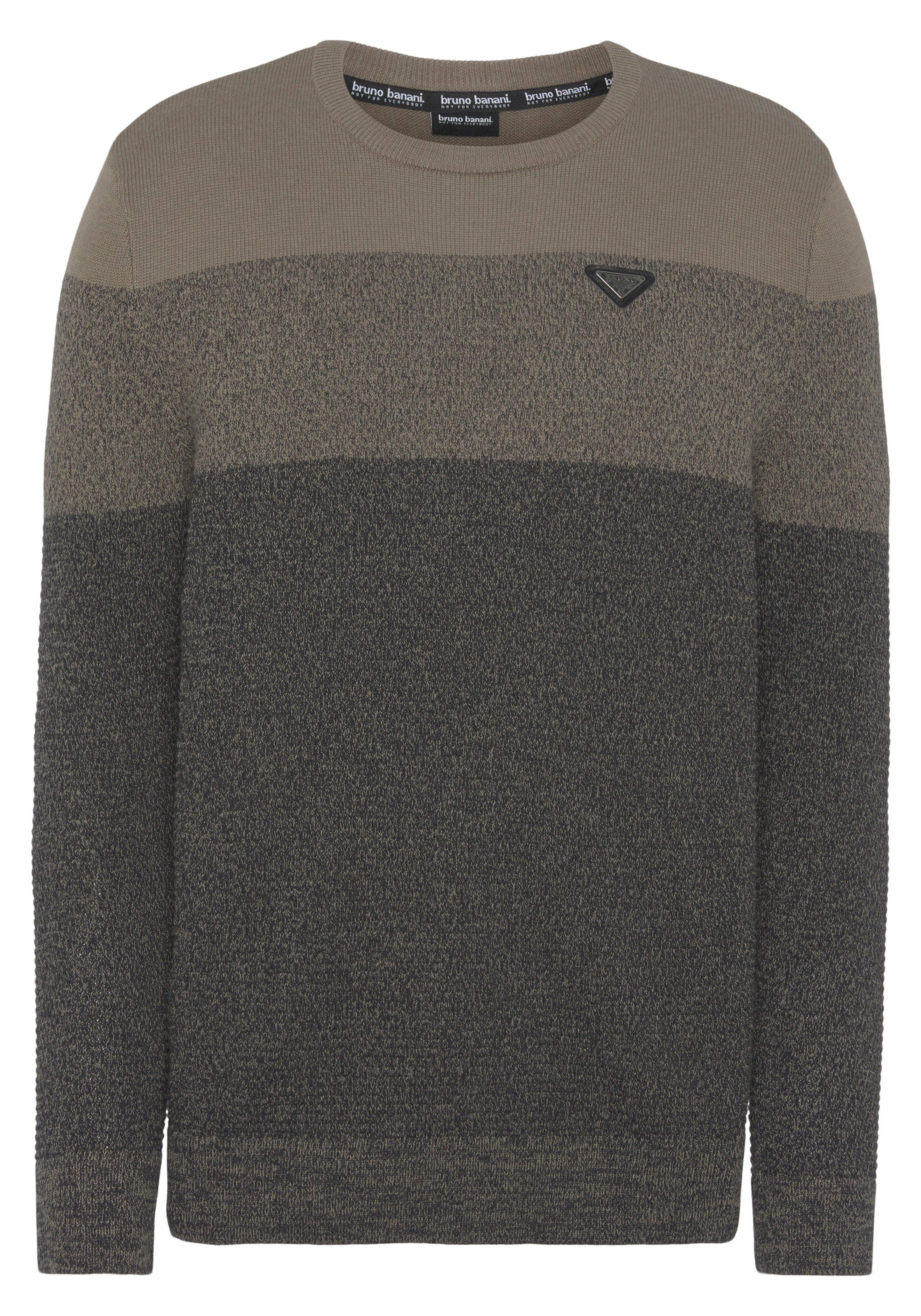 Bruno Banani Sweater in Brown: front