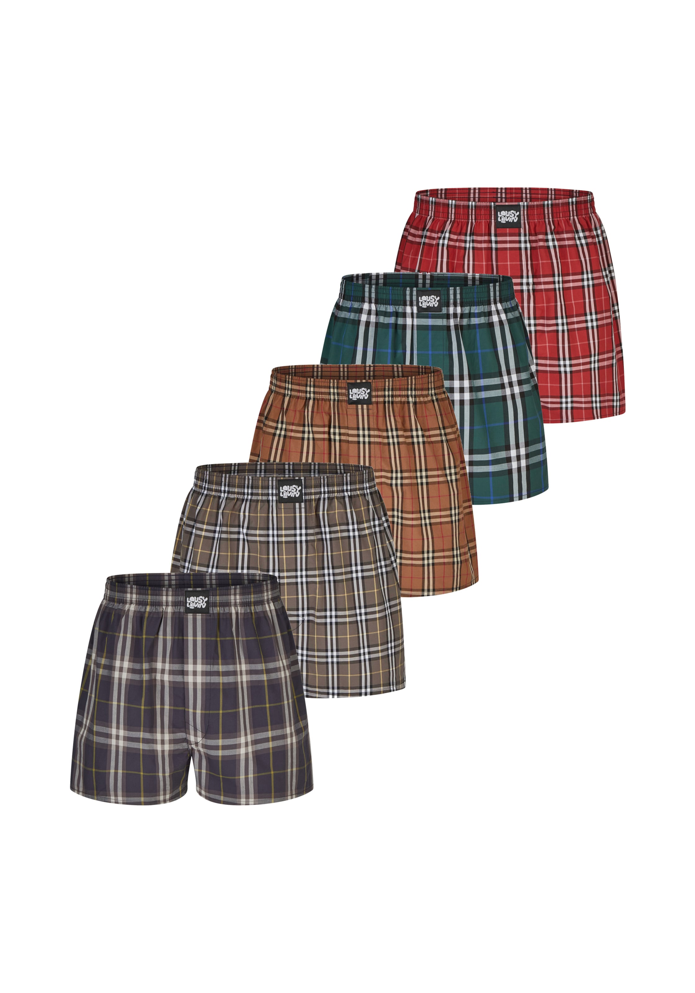 Lousy Livin Boxer shorts 'Check' in Blue: front